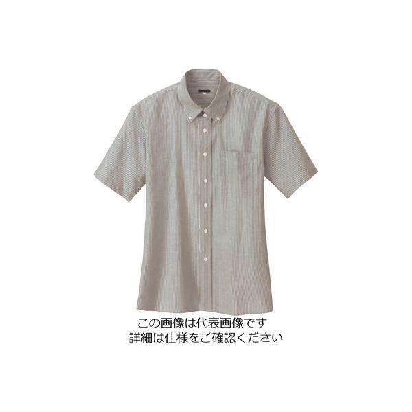 アイトス レディース半袖オックスボタンダウンシャツ グレーストライプ M 7873-104-M 1着 143-7882（直送品）