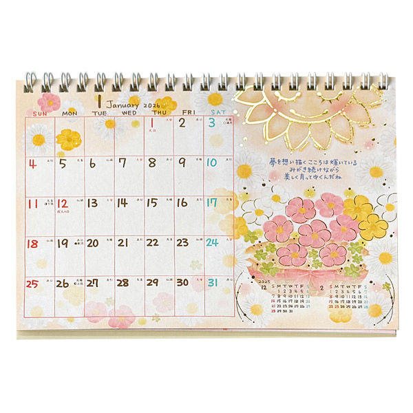 本能寺カレン シノビ メカ 19種 76枚 デュエマ 本能寺カレン メカ・デル・ステラ/シノビ 70枚セット