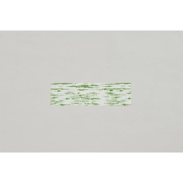 福助工業 軽食容器 白竹皮 No.2 00005822 1ケース(3000個(200個×15))（直送品）