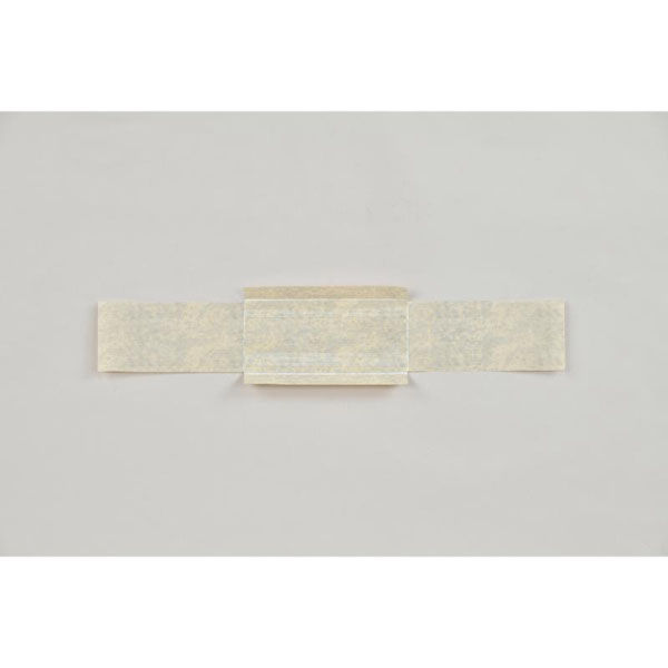 福助工業 軽食容器 紙竹皮 No.3 00455939 1ケース(1800個(100個×18))（直送品）