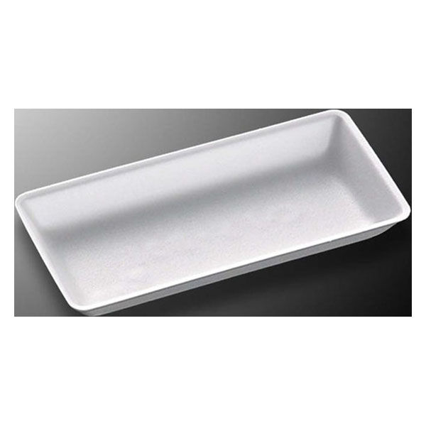 中央化学 食品容器 トレー C・FS-B2E LL 00457319 1ケース(2100個(50個×42))（直送品）