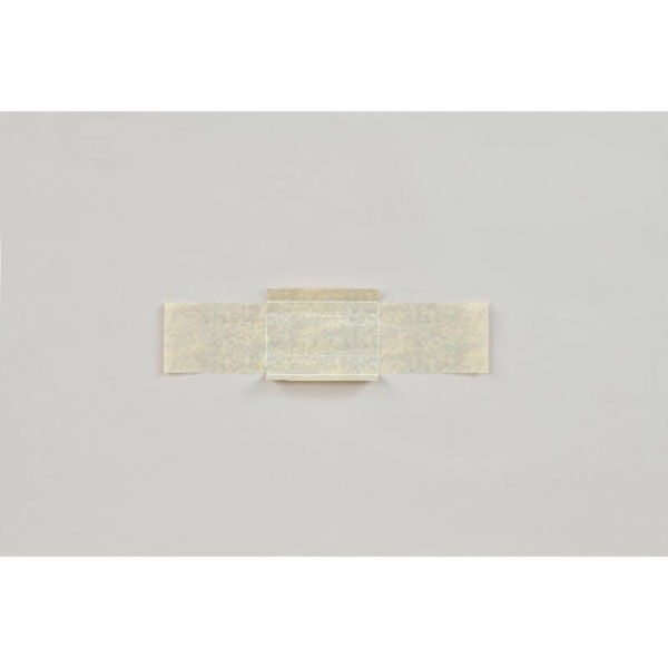 福助工業 軽食容器 紙竹皮 No.2 00561302 1ケース(2000個(100個×20))（直送品）