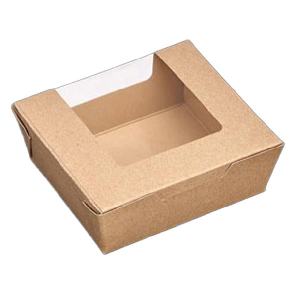 中央化学 弁当容器 サラダボックス S 00639382 1ケース(500個(20個×25))（直送品）