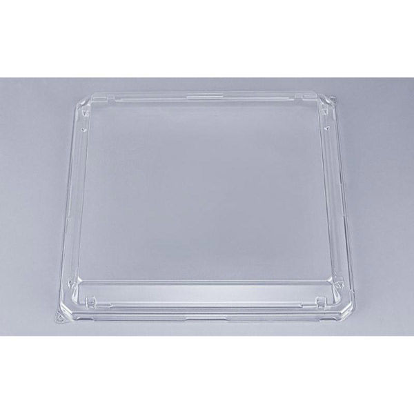 シーピー化成 SFNハカマ角桶56 嵌合蓋AP 0310256500008 1ケース(200個(10個×20))（直送品）