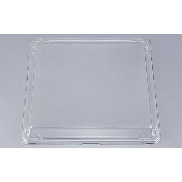 シーピー化成 SFNハカマ角桶58 嵌合蓋AP 0310258500008 1ケース(100個(10個×10))（直送品）