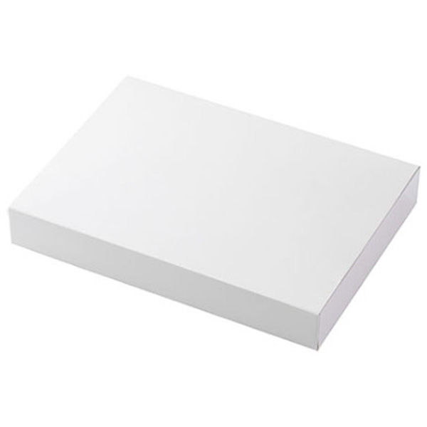 愛宝 デリボックス H-28-17 ホワイトフードケース(大) 1ケース(150個(150個×1))（直送品）