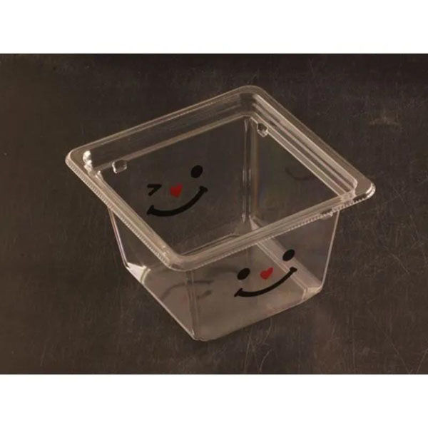 リスパック サラダ容器 バイオカップ キューブ