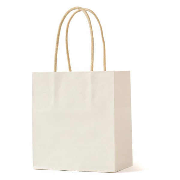 パックタケヤマ 紙手提袋 STジェラート ミルク XZT68336 1ケース(100個(10個×10))（直送品）