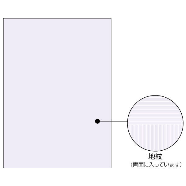 ヒサゴ プリンター用紙 マルチプリンタ帳票 コピー偽造予防用紙 浮き文字タイプ A4両面 1000枚入 BP2110Z 1ケース(1個)（直送品）