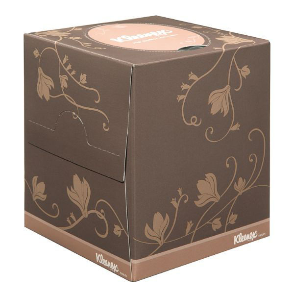 日本製紙クレシア ティッシュペーパー クリネックスティシュー デ グランデ 96W 43585 1ケース(36個(1個×36))（直送品）