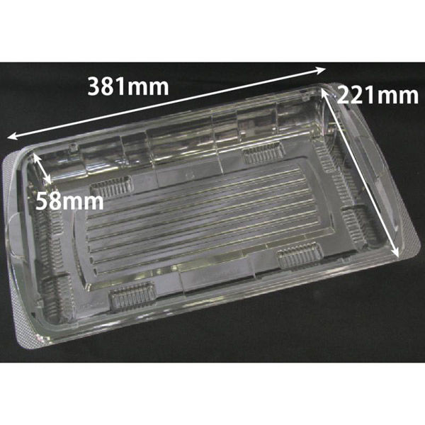 リスパック 汎用トレー バイオ アールケース 38-22B PKCC482 1袋(10個)（直送品）
