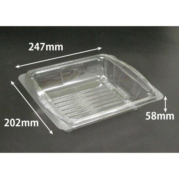 リスパック 汎用トレー バイオ アールケース 25-20B PKCC422 1ケース(400個(50個×8))（直送品）