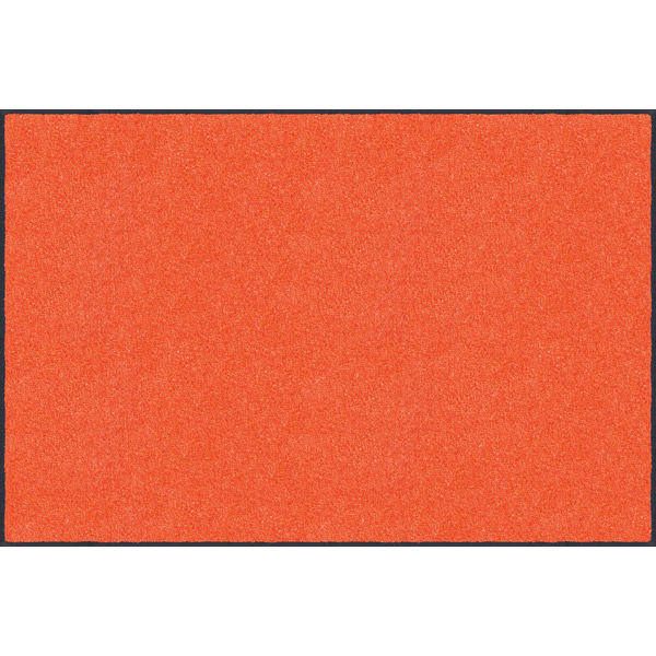 玄関マット 万能タイプ スタンダードマットS 40×60cm AM00155 1枚 クリーンテックス・ジャパン（直送品）