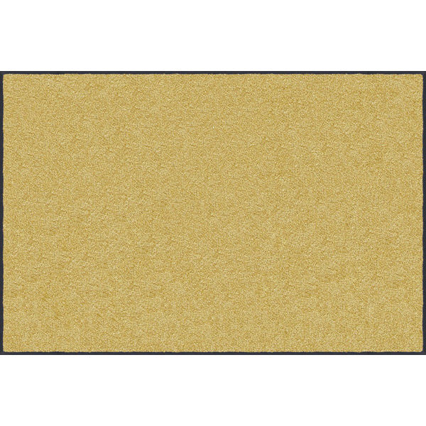 玄関マット 万能タイプ スタンダードマットS 40×60cm AM00163 1枚 クリーンテックス・ジャパン（直送品）