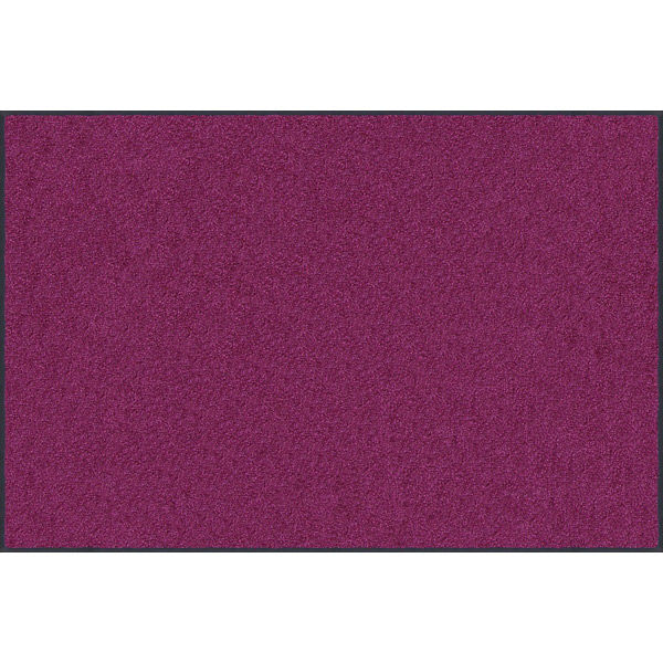 玄関マット 万能タイプ スタンダードマットS 40×60cm AM00596 1枚 クリーンテックス・ジャパン（直送品）