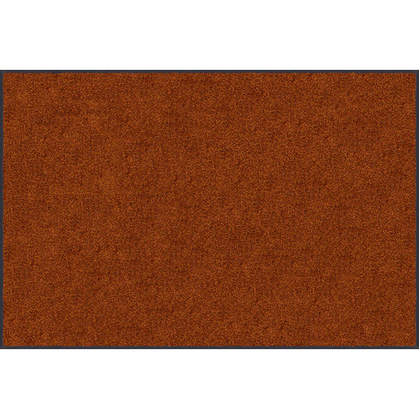 玄関マット 万能タイプ スタンダードマットS 40×60cm AM00595 1枚 クリーンテックス・ジャパン（直送品）