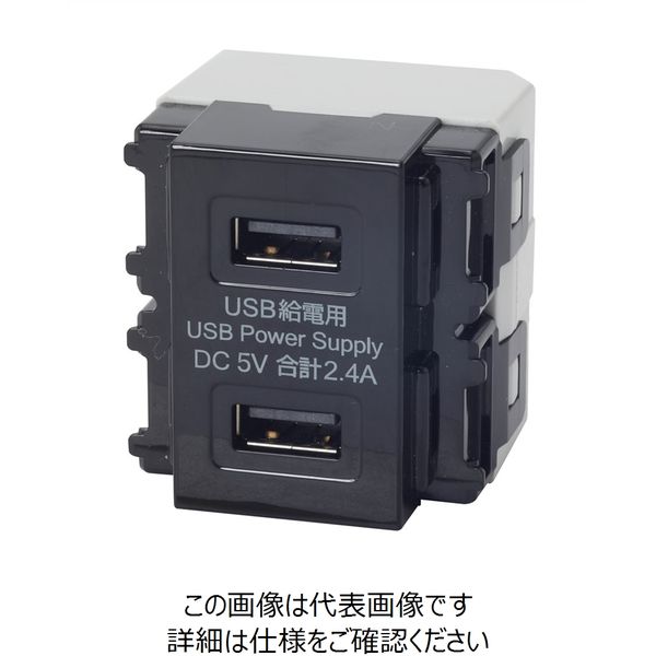 TERADA 埋込USB給電用コンセント USBーR3701BK USB-R3701BK 1個（直送品）