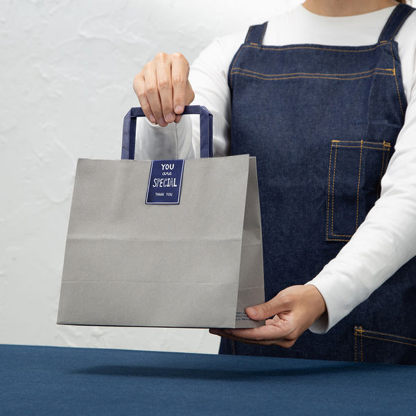 アスクルカタログリサイクル紙袋「Come bag/カムバッグ」平紐 220×200×100mm 1箱（300枚） オリジナル