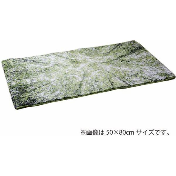 イケヒコ ガイア 玄関マット 700×1200mm グリーン 1311050016401 1枚（直送品）