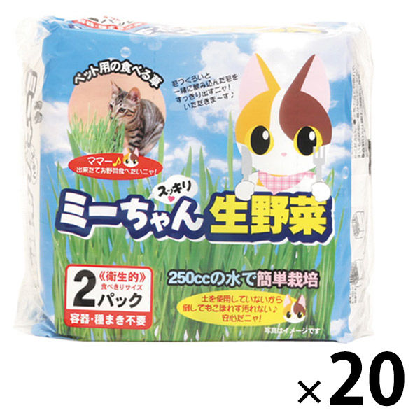 猫草 ミーちゃんのすっきり生野菜 2個入×20袋 イデシギョー