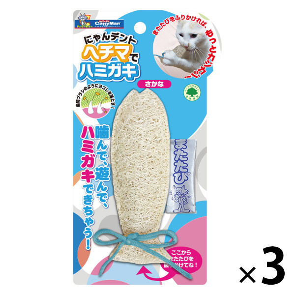 ネコママさま❤️専用きんがくまちけさかな ショーベタ専門店 よこはま金魚CT キングクラウン カッパーa8036