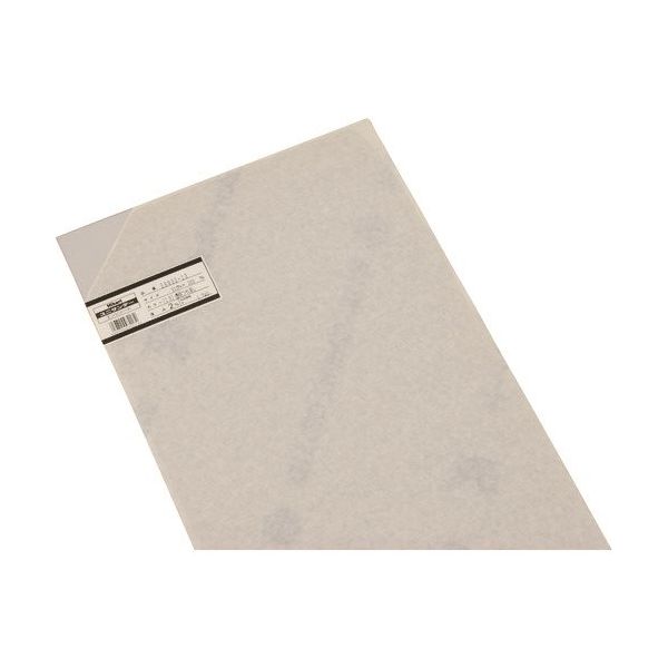 光 エンビ板透明つや消し2×910×300mm EB932-13 1枚 215-7405（直送品）