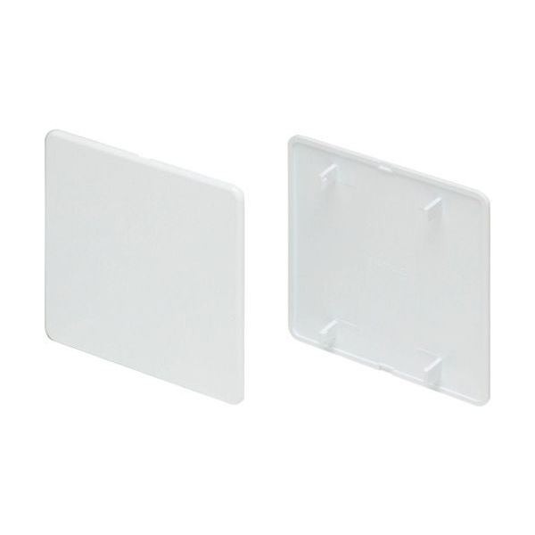 マサル工業 マサル ニュー・エフモール付属品 露出ボックス用カバー 2個用 ホワイト SFBC22 1個 121-7743（直送品）