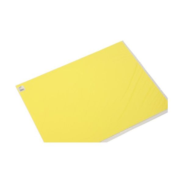 光 カラーボードイエロー 600×450mm RCB465-6 1セット(5枚) 820-2103（直送品）
