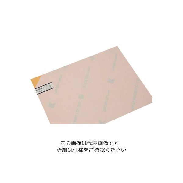 光 エンビ板 オレンジ透明 0.5×450×600mm EB455-9 1個(1枚) 849-4052（直送品）