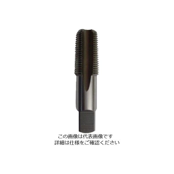 イシハシ精工 ISF SKH ガスタップ 1/4PF IS-H-PF014 1本 503-6445（直送品）