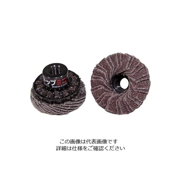 柳瀬 ヤナセ TOPミニディスク 30xM7xP0.75 #180 TOP30A9 1セット(5個) 812-6740（直送品）