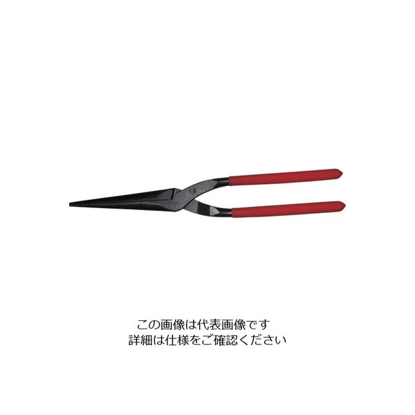 キクシボリペンチ