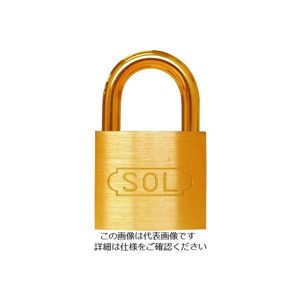 清水 SOL NO.2500 共通同一錠 40 2500SK-40 1個 849-0152（直送品）