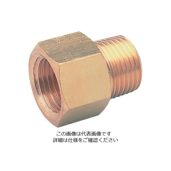 アソー ASOH 内外ソケット PT1/4(RoHS) NF-1022R 1個 195-3901（直送品）