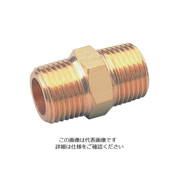 アソー ASOH 六角ニップル PT1/2(RoHS) NT-1044R 1個 195-3897