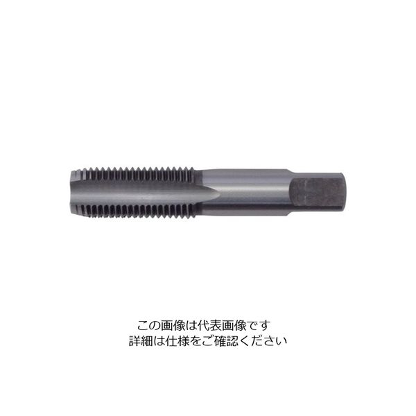 イシハシ精工 ISF ガスタップ 3/4PF IS-S-PF034 1本 505-2572（直送品）
