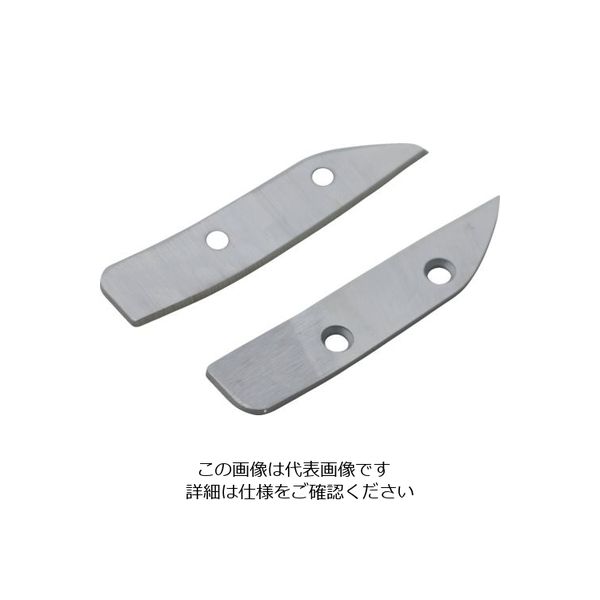 盛光 伊達 真 替刃 TESN-9270 1組 123-8763（直送品）