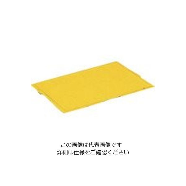 岐阜プラスチック工業 リス 折りたたみコンテナー 109930 蓋CBー