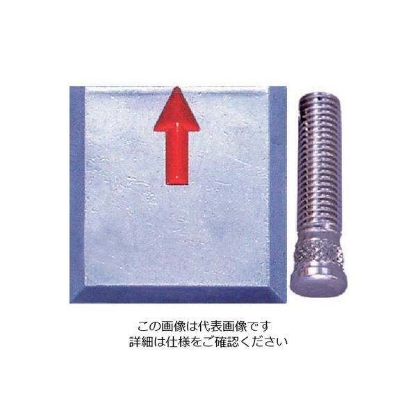 エス・ティ・エス STS 境界用標示板(埋込用)SUー20 (4枚入) SU-20 1袋(4枚) 807-2527（直送品）