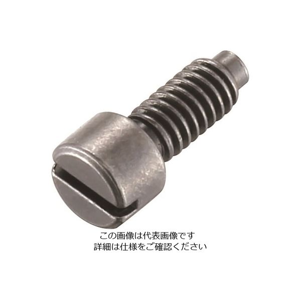 ベッセル GT-PLR用アジャストバルブ止ビス(部品番号:43) 814243 1個 227-7033（直送品）