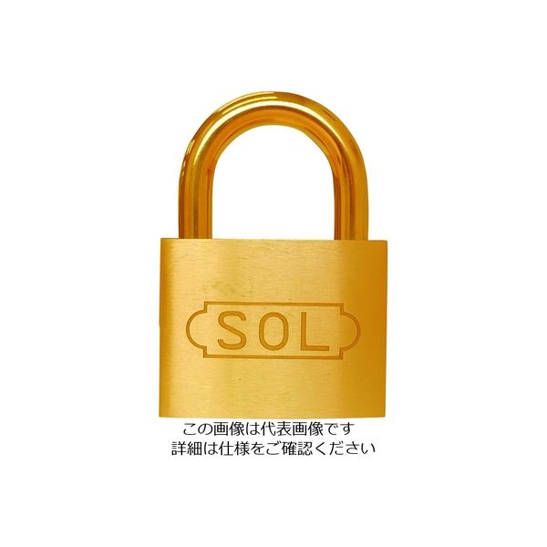 清水 SOL NO.2500 共通同一錠 50 2500SK-50 1個 849-0154（直送品）