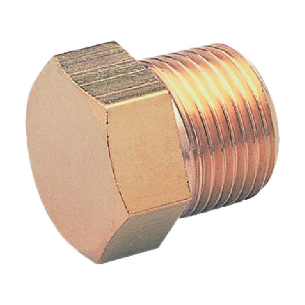 アソー ASOH 六角プラグ PT3/8(RoHS) HP-1003R 1個 195-3832（直送品）