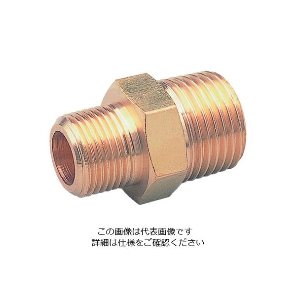 アソー ASOH 異径六角ニップル PT1/4XPT1/2(RoHS) NE-1024R 1個 195-3864（直送品）