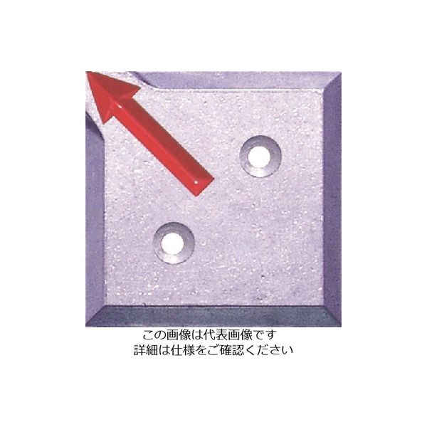 エス・ティ・エス STS 境界用標示板(2穴・貼付用)SHー14 (10枚入) SH-14-2 1袋(10枚) 807-2608（直送品）
