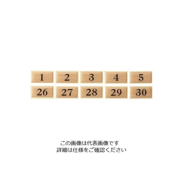 光 テーブルナンバー チーク BJ25-28 1枚 112-9625（直送品）