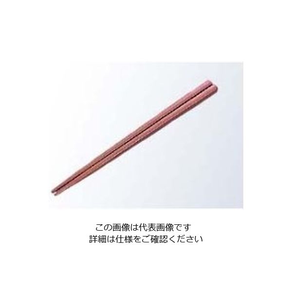 蝶プラ工業 金剛箸 19cm レッド PPS製 61-6769-47 1組（直送品）