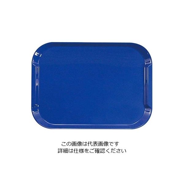 橋本達之助工芸 ネオトレー NS ブルー 61-6811-02 1個（直送品）