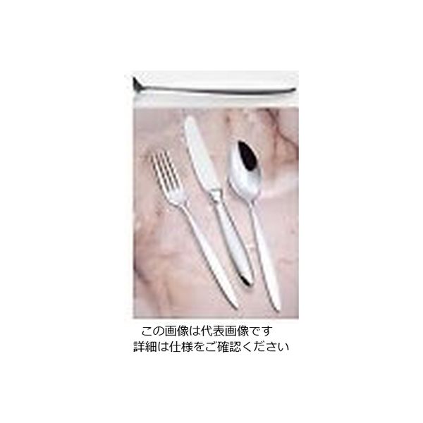 トーダイ 18ー8 パッシー フィッシュソーススプーン 61-7615-85 1個（直送品）