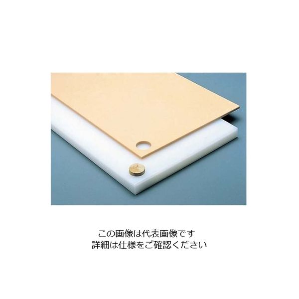 アズワン 鮮魚用 替まな板 16号 1500×600×10 61-7919-45 1枚（直送品）