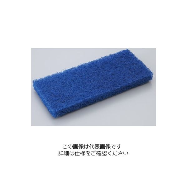 カーライルフードサービスプロダクツ スクラブパッド ハード 4072500 1袋(1個) 62-1613-60（直送品）